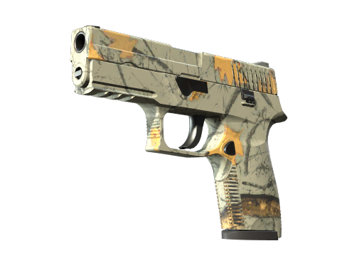 P250 | Modern Hunter